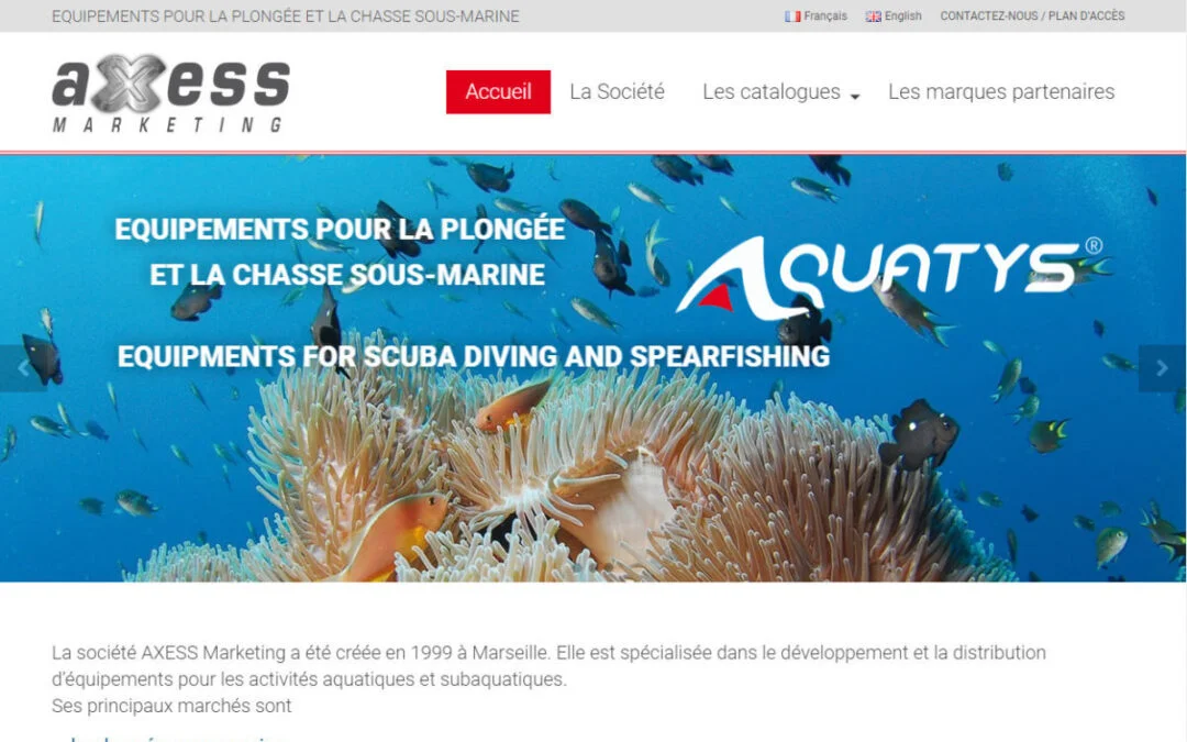 Axess Marketing